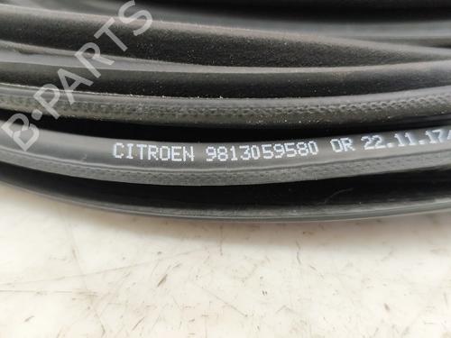Rubber door seal CITROËN C3 III (SX) 1.2 THP 110 (SXHNPS, SXHNZT, SXHNZ6) | BP29075063C142 