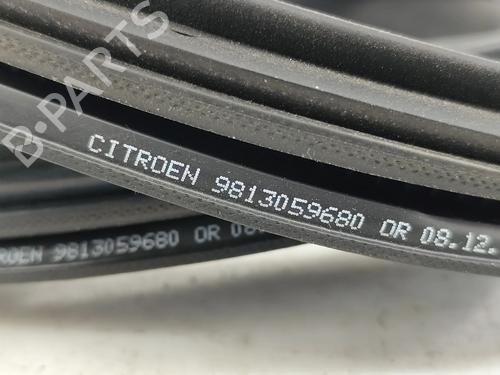 Rubber door seal CITROËN C3 III (SX) 1.2 THP 110 (SXHNPS, SXHNZT, SXHNZ6) | BP29075064C142 