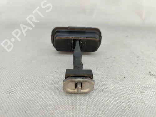 Hinge/Door check strap CITROËN C3 III (SX) 1.2 THP 110 (SXHNPS, SXHNZT, SXHNZ6) | BP29074968C146 