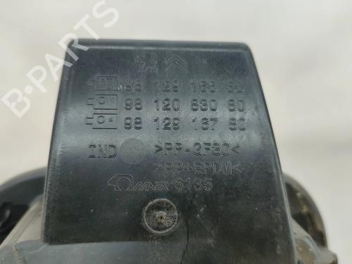 Fuel flap CITROËN C3 III (SX) 1.2 THP 110 (SXHNPS, SXHNZT, SXHNZ6) | BP29074974C131 