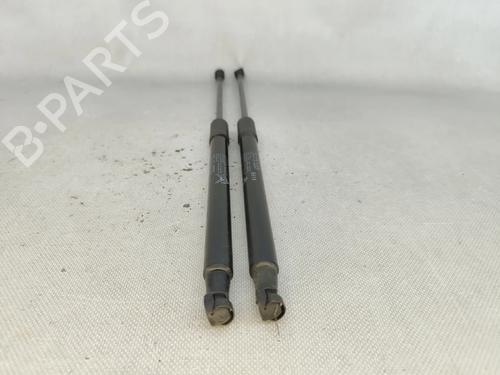 Tailgate lift support CITROËN C3 III (SX) 1.2 THP 110 (SXHNPS, SXHNZT, SXHNZ6) | BP29074985C138 