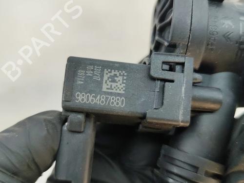 Electronic module CITROËN C3 III (SX) 1.2 THP 110 (SXHNPS, SXHNZT, SXHNZ6) | BP29075000M83 