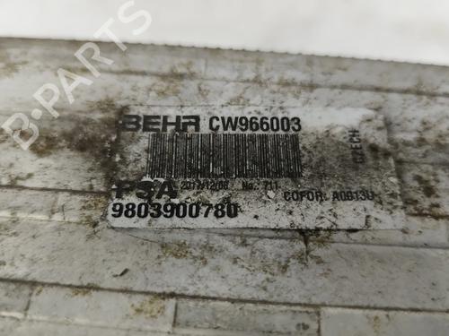 Intercooler CITROËN C3 III (SX) 1.2 THP 110 (SXHNPS, SXHNZT, SXHNZ6) | BP29075094M30 