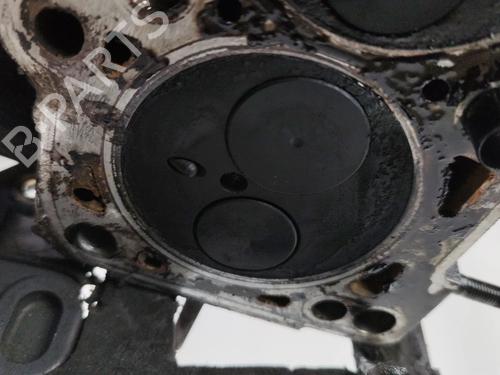 Cylinder head VW PASSAT B5.5 (3B3) 1.9 TDI | BP29161798M5