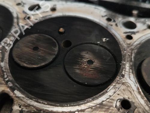 Cylinder head RENAULT TRAFIC II Van (FL) 1.9 dCi 100 (FL0C, FL0K, FL0B) | BP29161834M5 