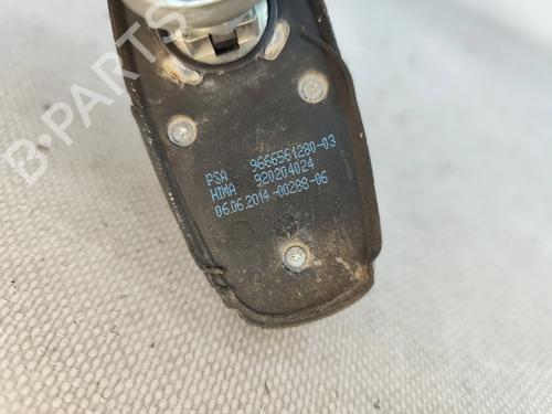 Antenna/Base PEUGEOT 308 SW II (LC_, LJ_, LR_, LX_, L4_) 1.6 HDi 92 | BP29205260C140 