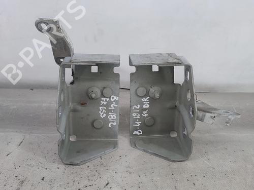 Hinge/Door check strap RENAULT TRAFIC III Van (FG_) 1.6 dCi 125 (FGMH) | BP29184512C146 