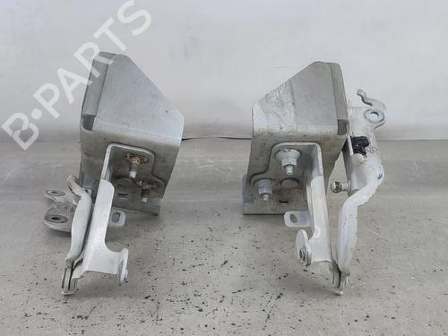 Hinge/Door check strap RENAULT TRAFIC III Van (FG_) 1.6 dCi 125 (FGMH) | BP29184512C146 