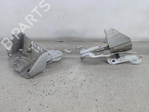 Hinge/Door check strap RENAULT TRAFIC III Van (FG_) 1.6 dCi 125 (FGMH) | BP29184512C146 