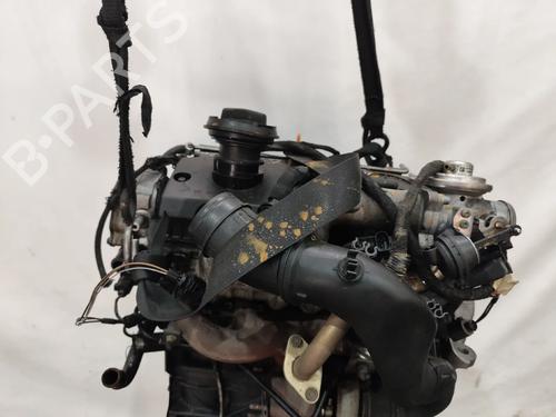 Motor VW GOLF IV (1J1) 1.9 TDI | BP28961919M1