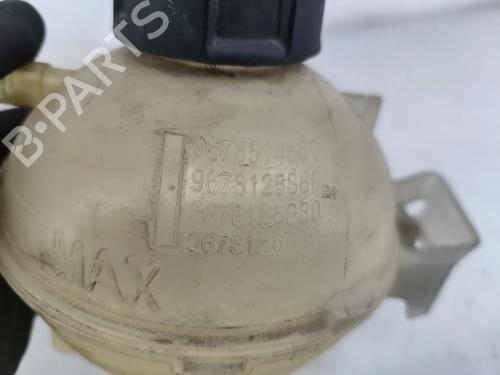 Expansion tank PEUGEOT 308 SW II (LC_, LJ_, LR_, LX_, L4_) 1.6 HDi 92 | BP29205320C120 