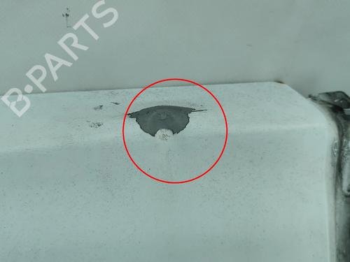 Left tailgate OPEL COMBO Box Body/MPV 1.7 DI 16V | BP29315758C76 
