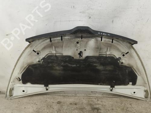 Hood RENAULT TRAFIC III Van (FG_) 1.6 dCi 125 (FGMH) | BP29334178C1 