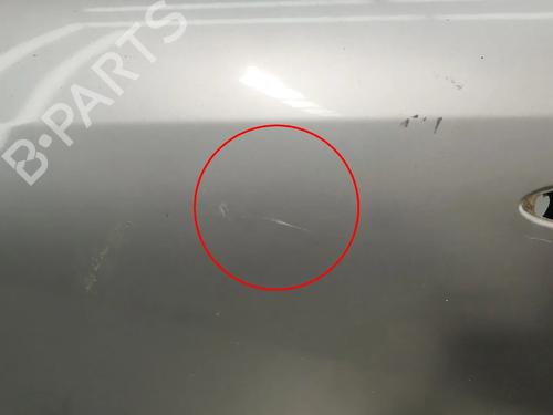 Left front door RENAULT MEGANE III Hatchback (BZ0/1_, B3_) 1.5 dCi | BP29139880C2 