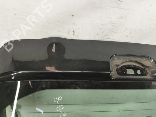 Tailgate NISSAN JUKE (F15) 1.6 | BP29338671C6 