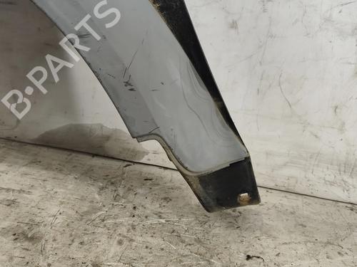 Left front fenders FORD MAVERICK (UDS, UNS) 2.7 TD | BP29378025C41 
