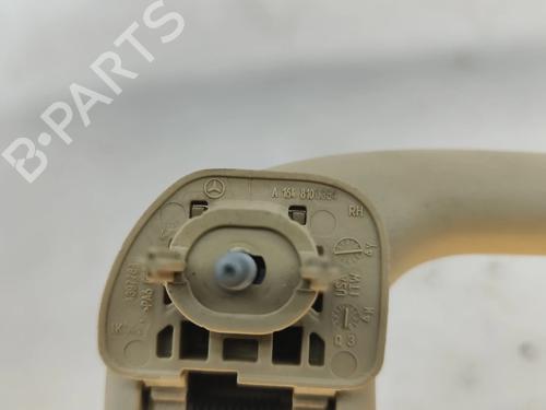 Interior roof handle MERCEDES-BENZ R-CLASS (W251, V251) R 280 CDI 4-matic (251.020) | BP29454909I35