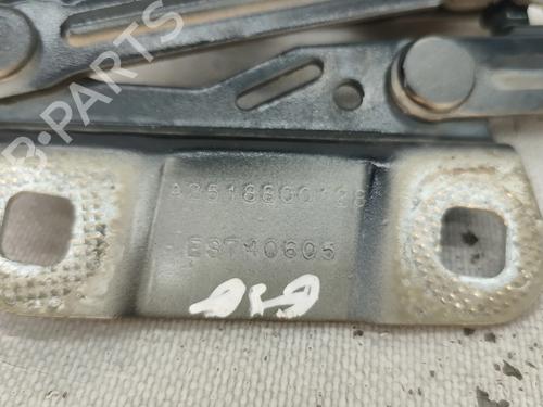 Hinge/Door check strap MERCEDES-BENZ R-CLASS (W251, V251) R 280 CDI 4-matic (251.020) | BP29454933C146 