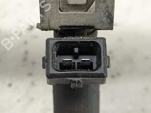 Injection rail FORD FIESTA V (JH_, JD_) 1.25 16V | BP29460906M98 