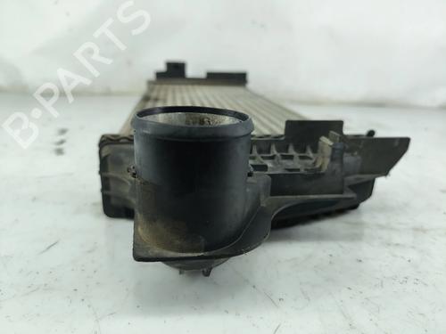 Intercooler MERCEDES-BENZ R-CLASS (W251, V251) R 280 CDI 4-matic (251.020) | BP29455042M30 