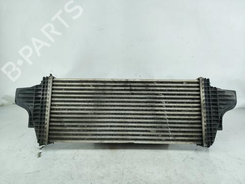 Intercooler MERCEDES-BENZ R-CLASS (W251, V251) R 280 CDI 4-matic (251.020) | BP29455042M30 