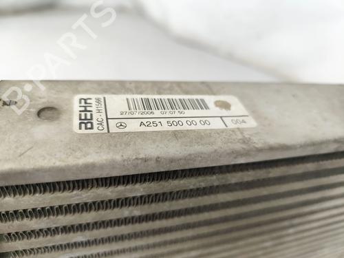 Intercooler MERCEDES-BENZ R-CLASS (W251, V251) R 280 CDI 4-matic (251.020) | BP29455042M30 