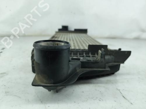 Intercooler MERCEDES-BENZ R-CLASS (W251, V251) R 280 CDI 4-matic (251.020) | BP29455042M30 