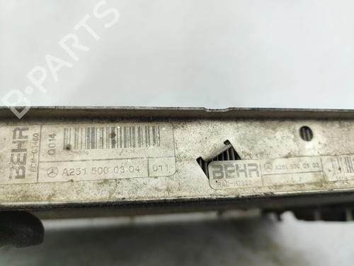 Water radiator MERCEDES-BENZ R-CLASS (W251, V251) R 280 CDI 4-matic (251.020) | BP29455044M31