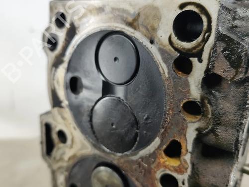 Cylinder head NISSAN PRIMERA (P12) 2.0 | BP29512602M5 