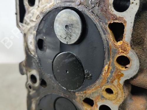 Cylinder head NISSAN PRIMERA (P12) 2.0 | BP29512602M5 