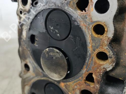 Cylinder head NISSAN PRIMERA (P12) 2.0 | BP29512602M5 