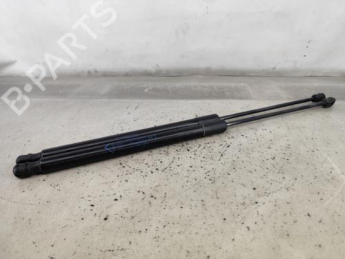 Tailgate lift support FIAT TIPO Estate (356_, 357_) 1.3 D (356WXH1A) | BP29543733C138 