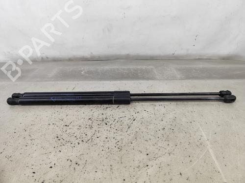 Tailgate lift support FIAT TIPO Estate (356_, 357_) 1.3 D (356WXH1A) | BP29543733C138 