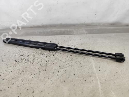 Tailgate lift support FIAT TIPO Estate (356_, 357_) 1.3 D (356WXH1A) | BP29543733C138 
