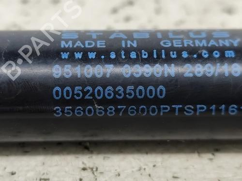 Tailgate lift support FIAT TIPO Estate (356_, 357_) 1.3 D (356WXH1A) | BP29543733C138 