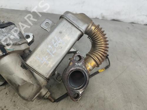 Egr RENAULT TALISMAN Grandtour (KP_) 1.6 dCi 130 | BP29566282M69 