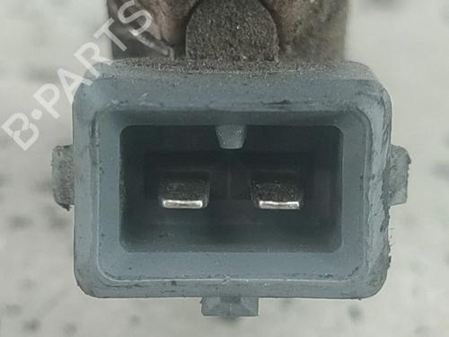 Injection rail RENAULT CLIO II (BB_, CB_) 1.2 16V (BB05, BB0W, BB11, BB27, BB2T, BB2U, BB2V, CB05,... | BP29593245M98