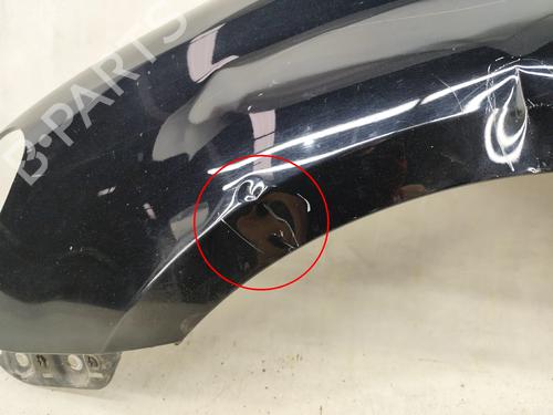 Left front fenders VW GOLF VI (5K1) 1.6 TDI | BP29709471C41