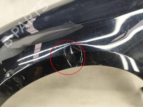 Left front fenders VW GOLF VI (5K1) 1.6 TDI | BP29709471C41