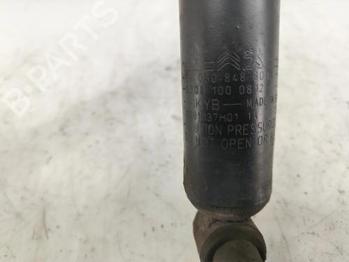 Left rear shock absorber PEUGEOT 308 II (LB_, LP_, LW_, LH_, L3_) 1.6 BlueHDi 120 | BP29619780M18