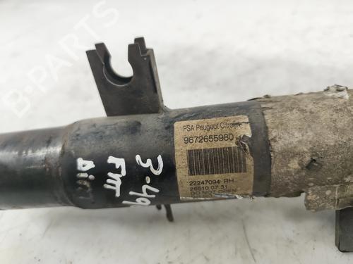 Right front shock absorber CITROËN C3 II (SC_) 1.4 VTi 95 | BP29619876M17 