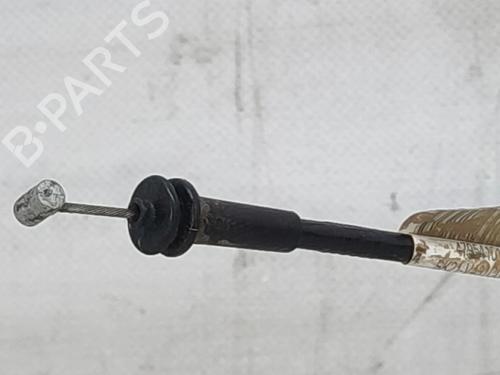 Maniglia interna FORD TRANSIT CUSTOM V362 Van (FY, FZ) 2.0 EcoBlue mHEV | BP29747338I7