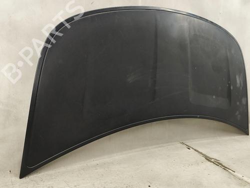 Hood SMART FORFOUR (454) 1.1 (454.030) | BP29823841C1 