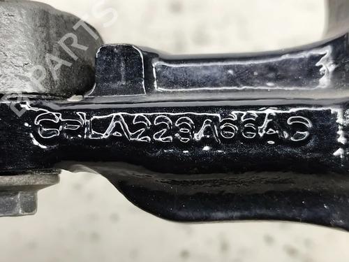 Hinge/Door check strap JAGUAR I-PACE (X590) EV400 AWD | BP29828976C146 