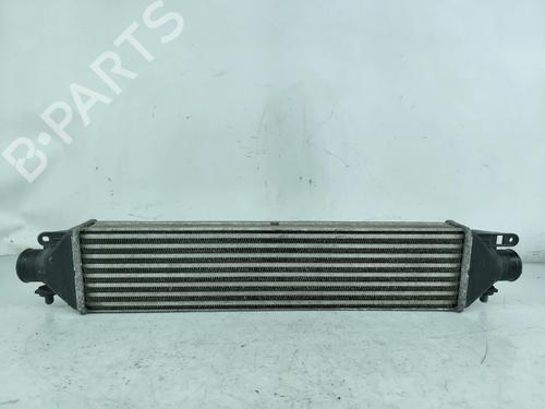 Ladeluftkühler für LANCIA DELTA III (844_) 1.4 Bifuel (844.AXA1A) (120 hp) 29867935