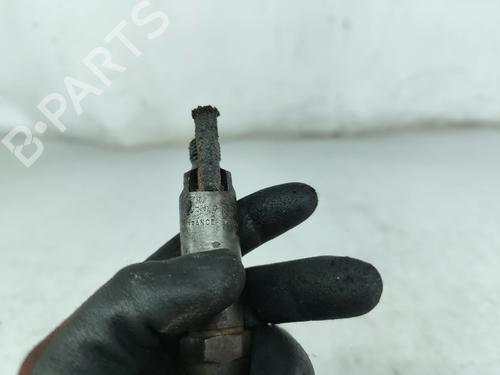 Injector MERCEDES-BENZ C-CLASS (W202) C 250 Turbo-D (202.128) | BP29895390M100