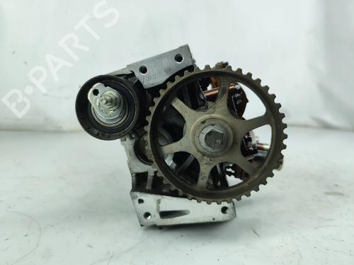 Cylinder head RENAULT CLIO III (BR0/1, CR0/1) 1.2 16V (BR02, BR0J, BR11, CR02, CR0J, CR11) | BP29891765M5 