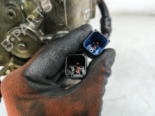 Bomba inyeccion PEUGEOT 206 Hatchback (2A/C) 1.9 D | BP29892669M78