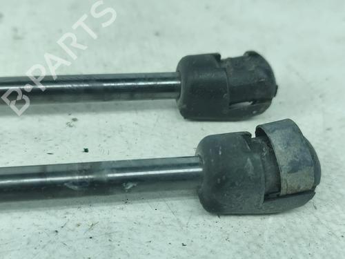Tailgate lift support MINI MINI (R50, R53) Cooper | BP29608220C138 