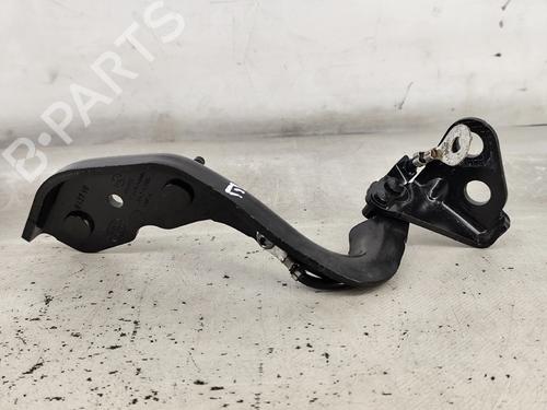 Hinge/Door check strap JAGUAR I-PACE (X590) EV400 AWD | BP29870757C146 